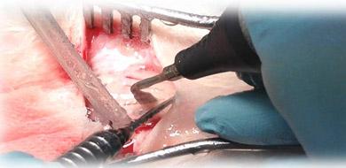 Laboratorio Biomateriali