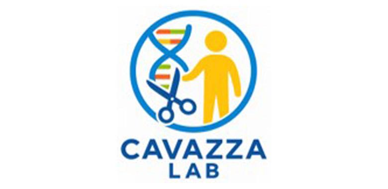 Cavazza lab link